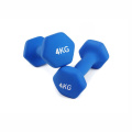 Hot Sale 3kg Dumbbell for Home Fitness & Gym